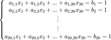 \left\{\begin{matrix}  a_{1,1}x_1+a_{1,2}x_2+...+a_{1,20}x_{20} = b_1 = 1 \\ a_{2,1}x_1+a_{2,2}x_2+...+a_{2,20}x_{20} = b_2 = 1 \\ \vdots \\ \vdots \\ a_{20,1}x_{1}+a_{20,2}x_{2}+...+a_{20,20}x_{20} = b_{20} = 1\end{matrix}\right.