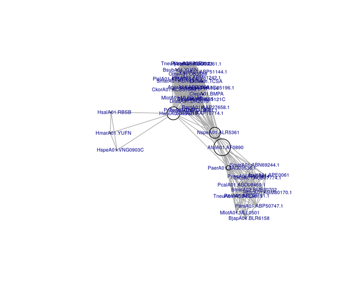 File:Igraph.node.betweenness.png